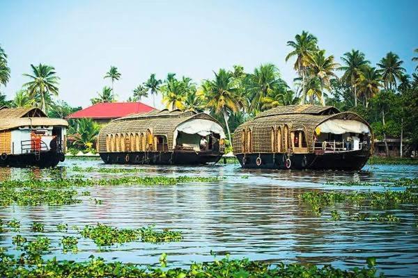 Marari Beach Cleetus Homestay Mararikulam Exteriör bild
