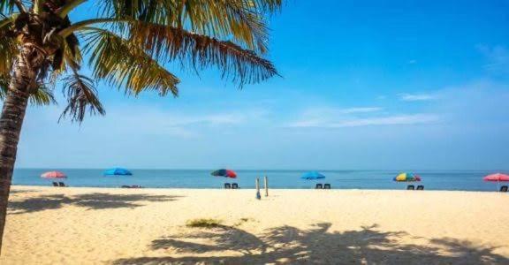 Marari Beach Cleetus Homestay Mararikulam Exteriör bild